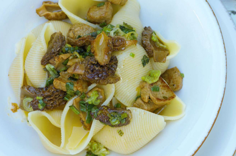 Conchiglioni avec sauté de porc aux morilles fraîches
