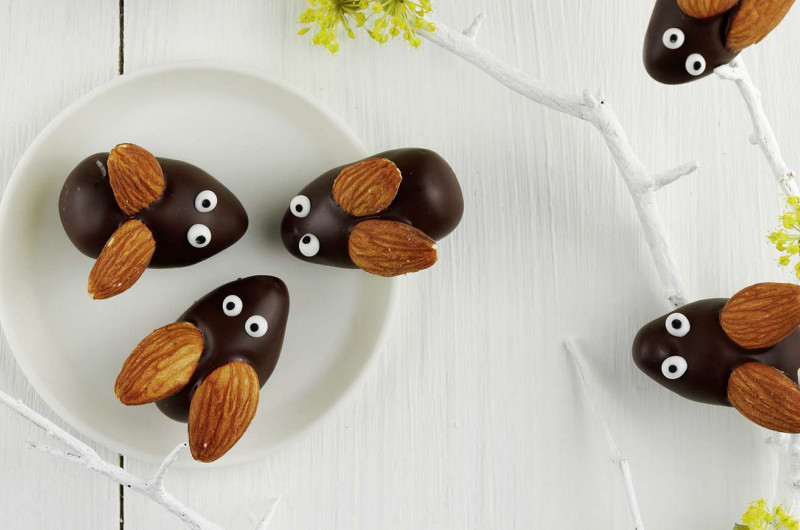Hannetons en chocolat