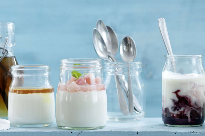 Yogourt à la rhubarbe et au sureau