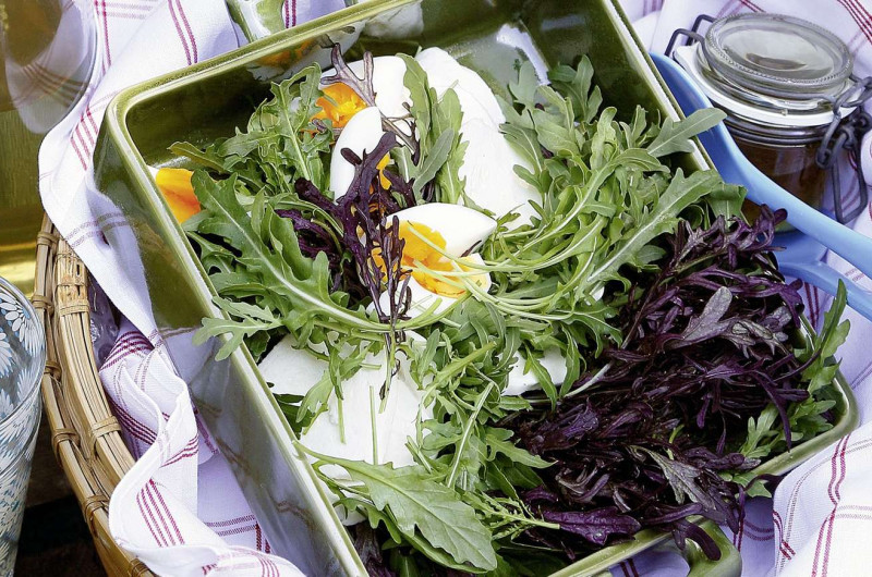 Salade de roquette à la mozzarella