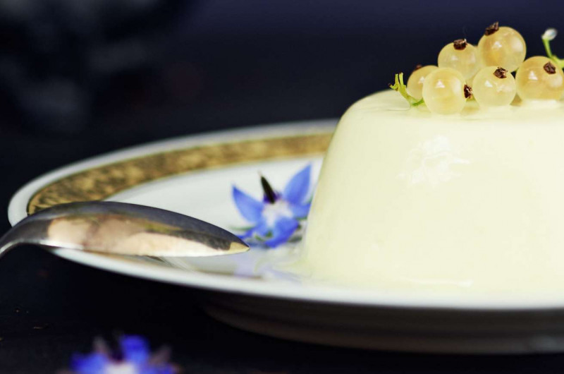 Panna cotta aux groseilles avec fleurs de bourrache