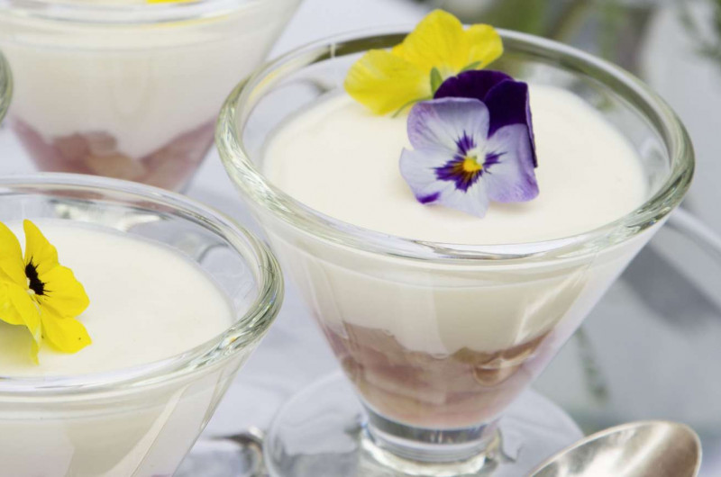 Mousse au sirop de sureau sur compote de rhubarbe