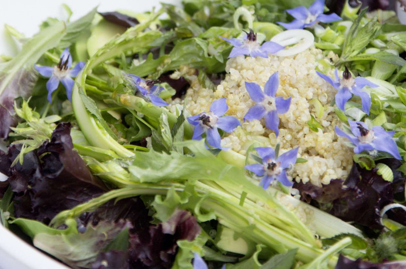 Salade au quinoa