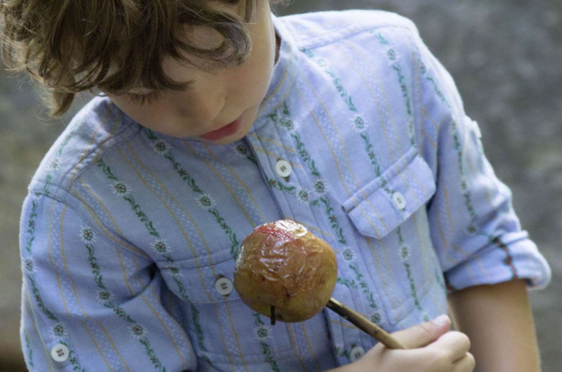 Pomme à la broche