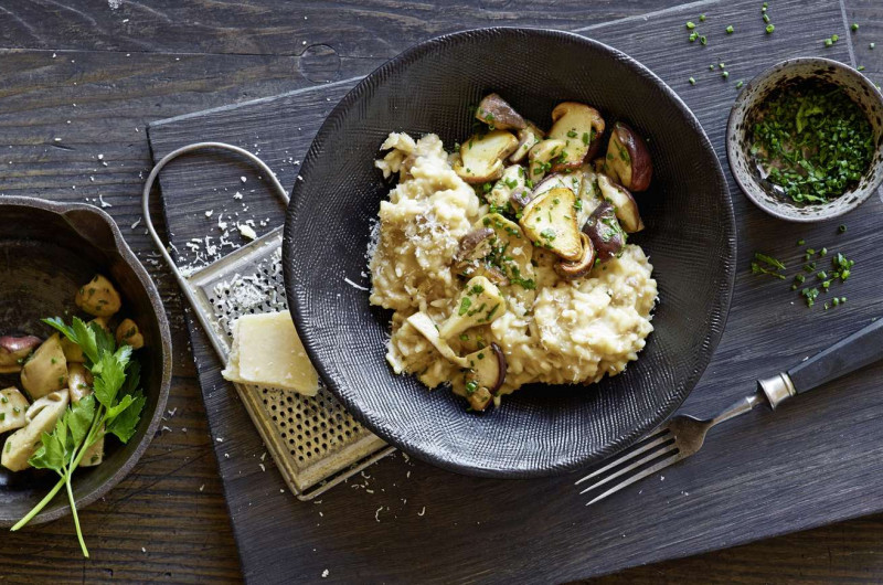 Risotto aux bolets