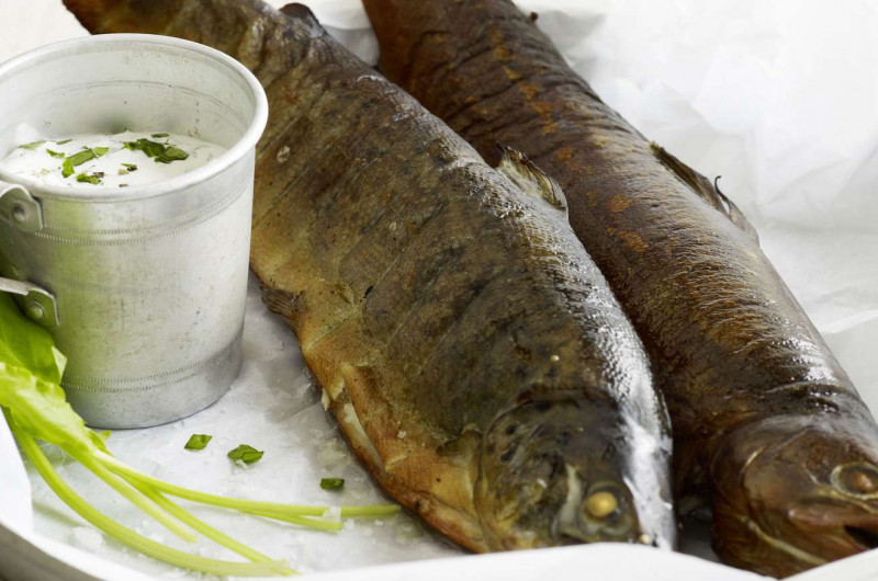 Truite fumée et sauce à l’oseille