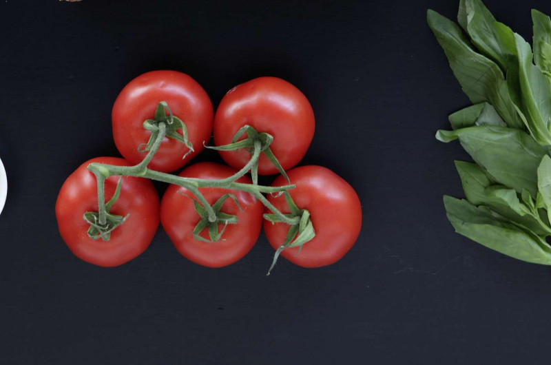 Bruschette aux tomates