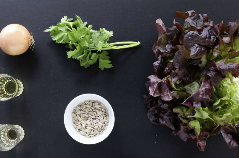 Salade feuille de chêne et graines de tournesol grillées