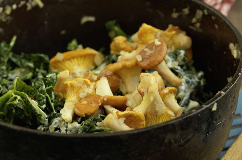Chou frisé à la crème et aux champignons