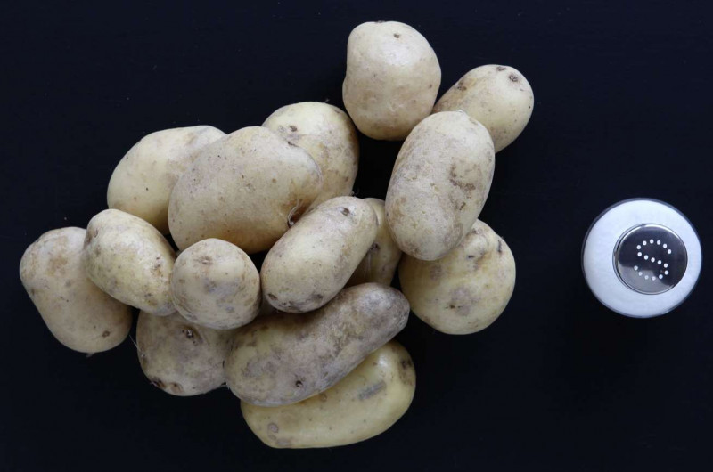 Pommes vapeur (pommes à l'anglaise)