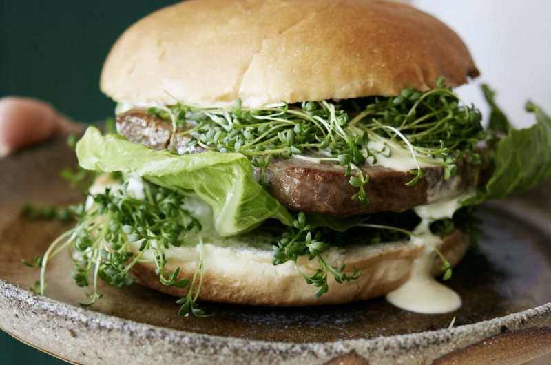 Hamburger au thon