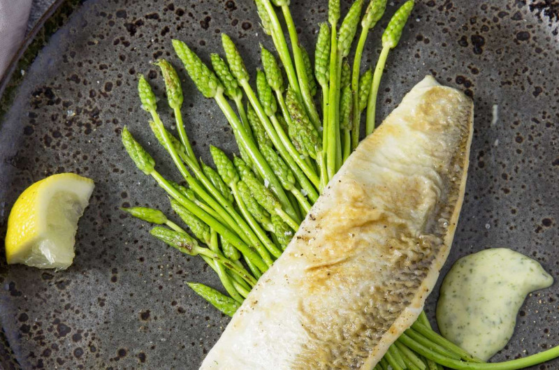 Féra sur lit d'asperges sauvages avec mayonnaise à l'estragon