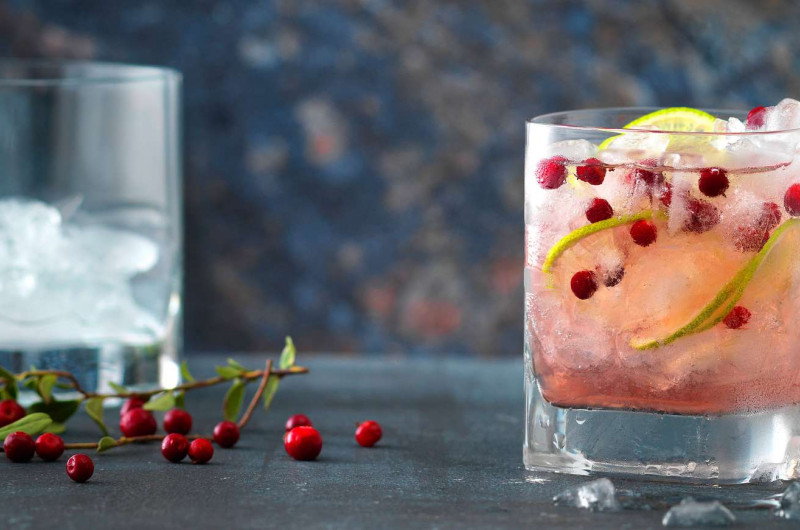 Gin aux airelles
