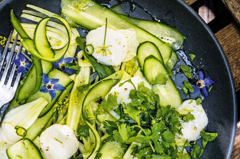 Ceviche de noix de saint-jacques aux fleurs de fenouil