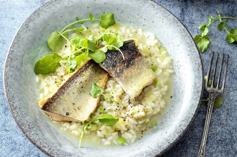 Filet de truite sur risotto à la rhubarbe
