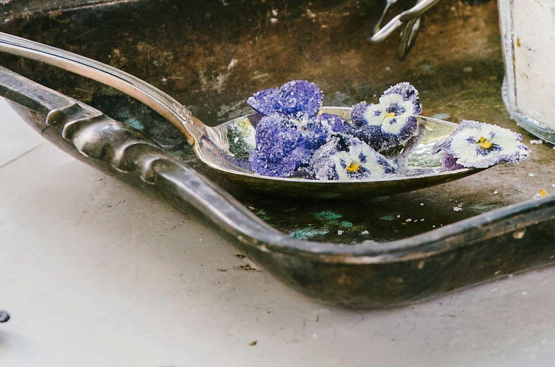 Violettes cristallisées