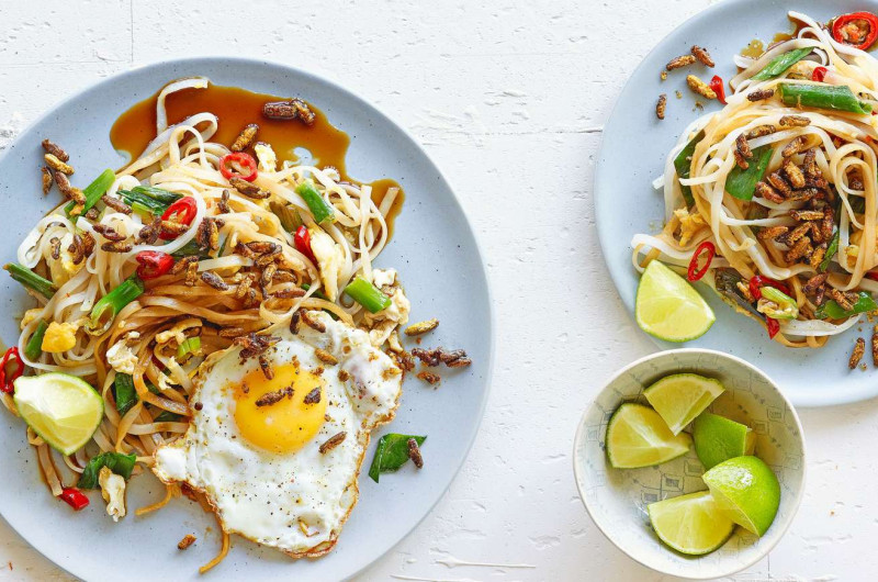 Nouilles sautées aux grillons