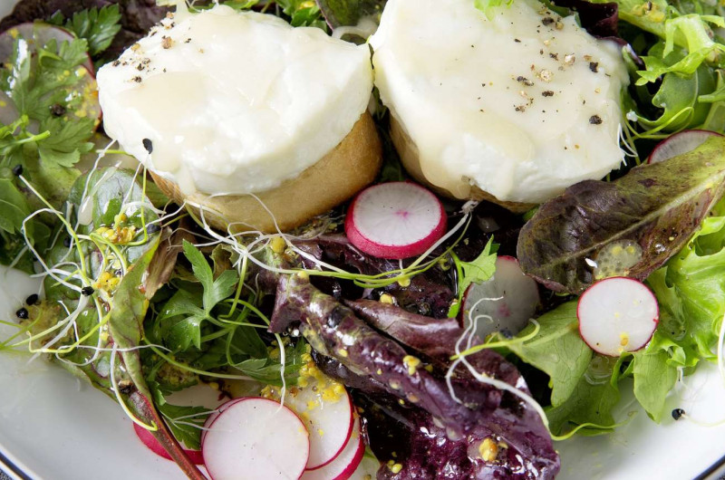 Chèvre chaud sur salade de jeunes pousses